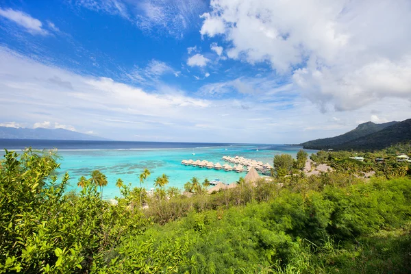 Moorea island landskap — Stockfoto