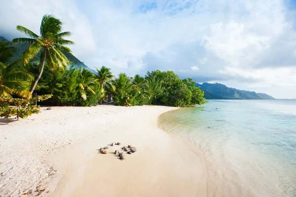 Playa tropical — Foto de Stock