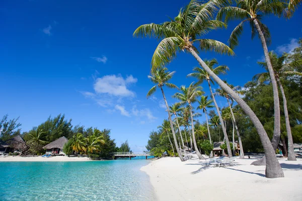 Belle plage sur Bora Bora — Photo