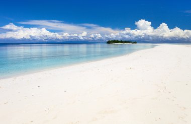 tropikal ada