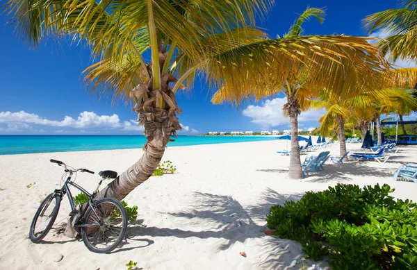 Hermosa playa caribeña — Foto de Stock