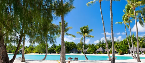 Piękna plaża na wyspie Bora bora — Zdjęcie stockowe