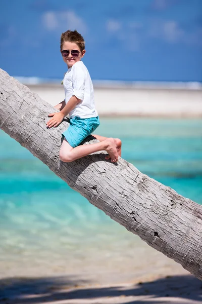 Pojken sitter på en palm — Stockfoto