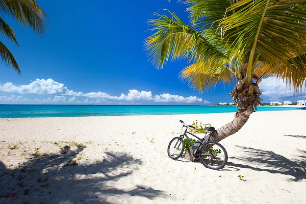 Beautiful Caribbean beach — Stock Photo, Image