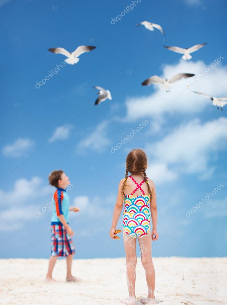 Kids and seabirds