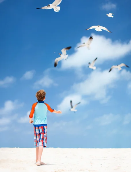 Boy and seagulls — Stock Photo, Image