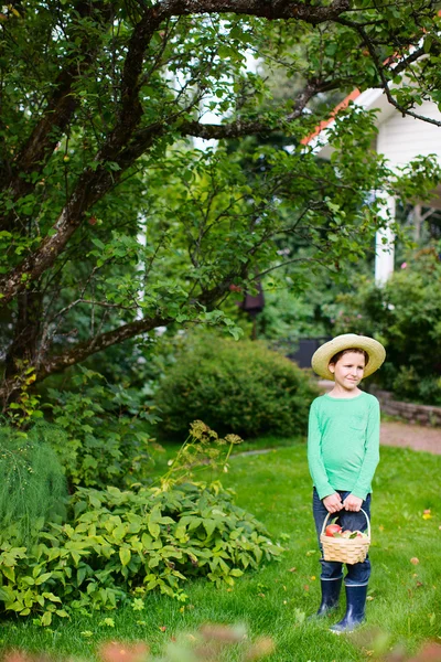 Cute boy with apples — Stock Photo, Image