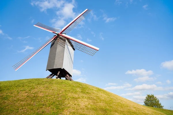 风车在比利时布鲁日 — 图库照片