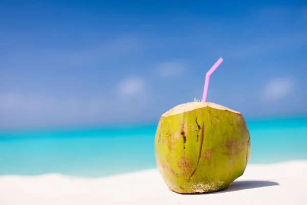 Coconut on a tropical beach — Stock Photo, Image