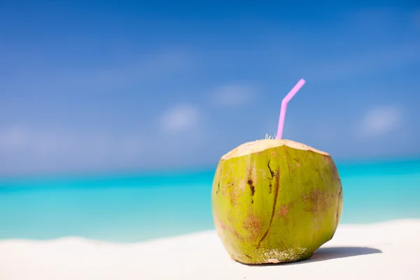 Coco en una playa tropical — Foto de Stock