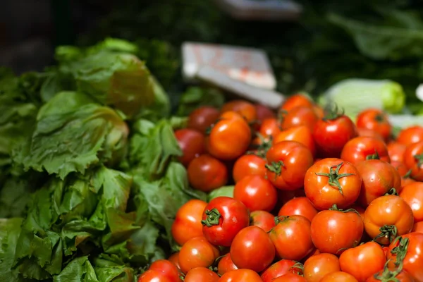 Herbes et légumes au marché — Photo