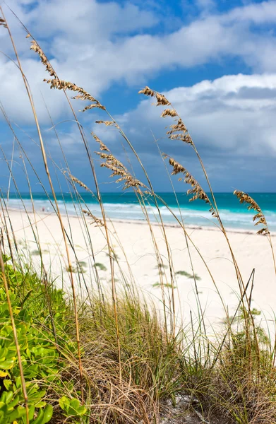 Spiaggia e mare dei Caraibi — Foto Stock