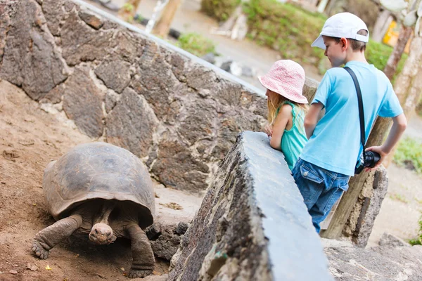 Galapagos rodinná dovolená — Stock fotografie