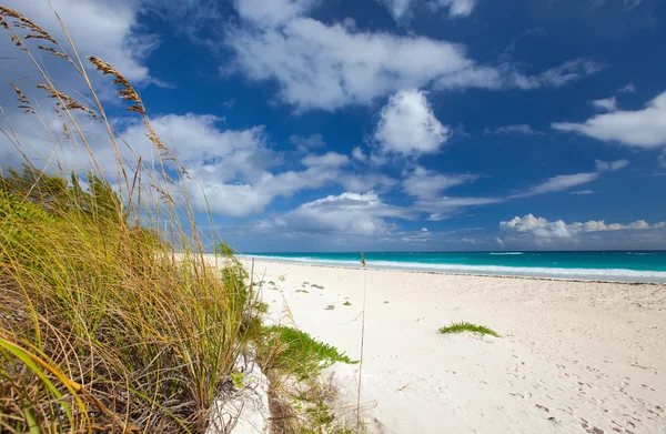 Karibik Strand und Meer — Stockfoto