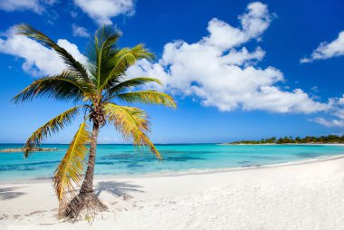 Beautiful Caribbean beach clipart