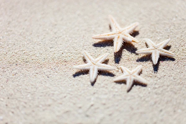 Estrella de mar sobre arena —  Fotos de Stock