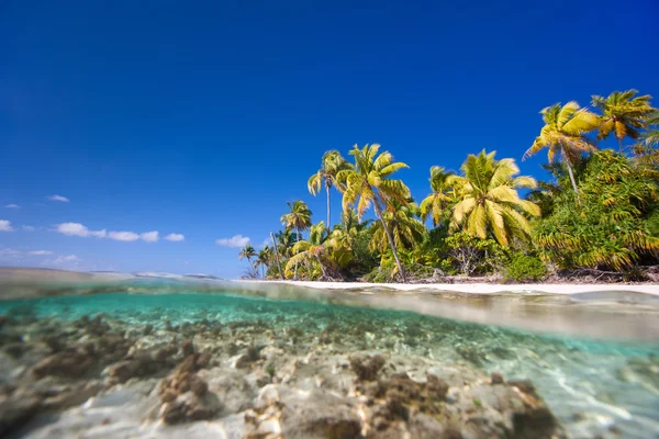 Ilha tropical — Fotografia de Stock