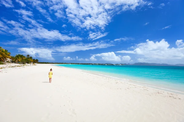 Bela praia caribenha — Fotografia de Stock