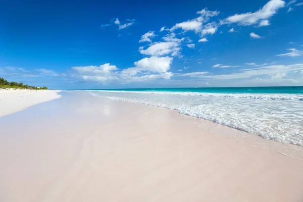 Карибский пляж и море — стоковое фото
