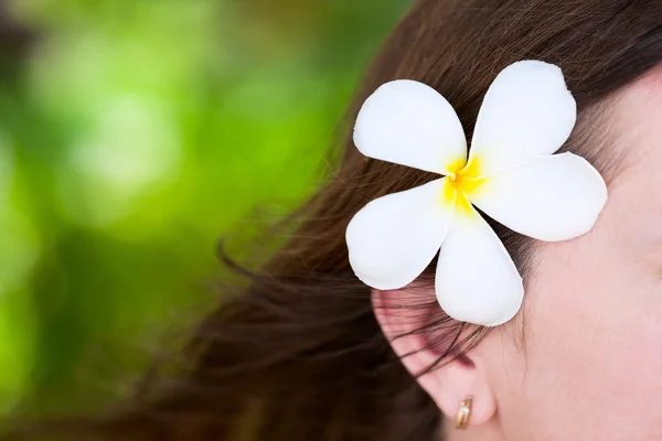 White frangipani flower — Stock Photo, Image