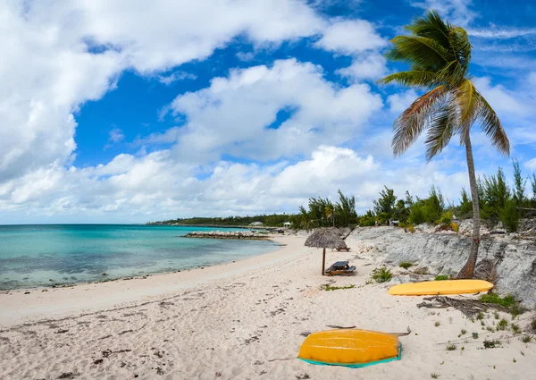 Bella spiaggia di caraibi — Foto Stock