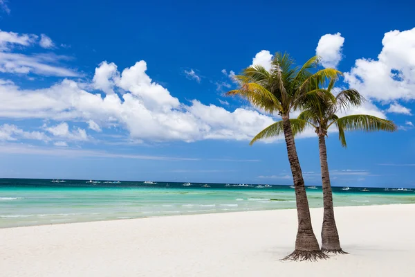 Idyllic tropical beach — Stockfoto