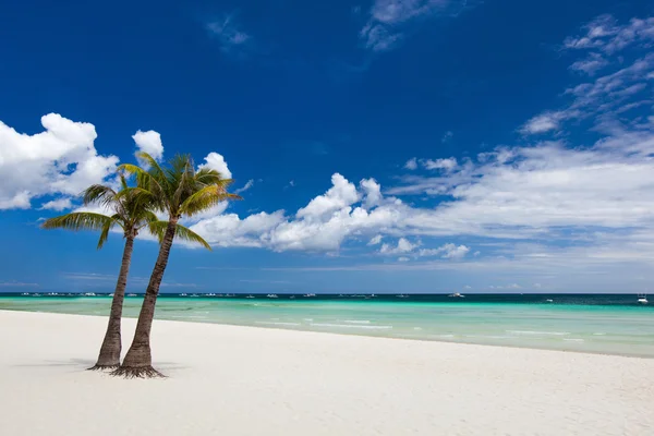 Sielankowy tropikalny plaży — Zdjęcie stockowe