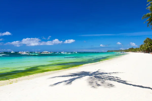 Praia tropical idílica — Fotografia de Stock