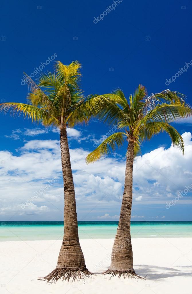  Idyllic tropical beach