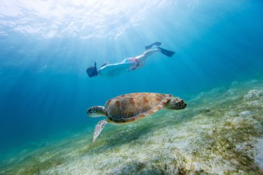 Genç kız ile deniz kaplumbağası şnorkel