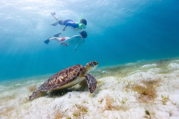 Family snorkeling with sea turtle — Stock Photo, Image