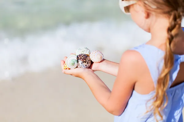 Conchas do mar — Fotografia de Stock