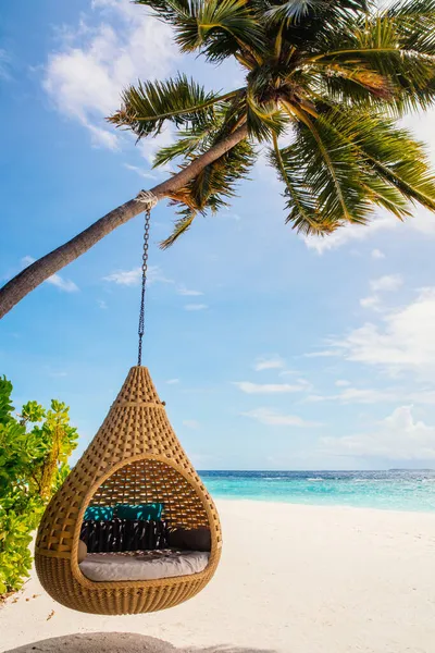 Чудове Тропічне Узбережжя Екзотичному Острові Мальдіви — стокове фото