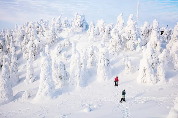 Aile Annesi Kızı Kar Ayakkabıları Içinde Güzel Kış Ormanlarında Laponya — Stok fotoğraf