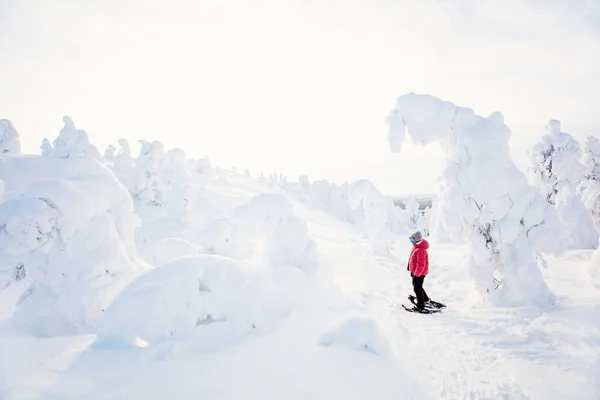 Kış Ormanlarında Kar Ayakkabılarıyla Yürüyüş Yapan Genç Kız Laponya Karla — Stok fotoğraf
