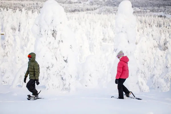 在芬兰拉普兰 青少年兄弟姐妹们穿着雪鞋在冰雪覆盖的森林里徒步旅行 — 图库照片