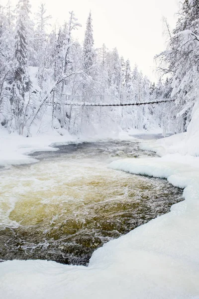 Ohromující Krajina Visícího Mostu Přes Řeku Zasněženém Lese Národním Parku — Stock fotografie