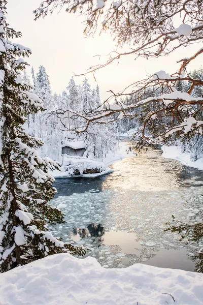 Atemberaubende Winterlandschaft Blick Auf Schneebedeckte Hütte Fluss Oulanka Nationalpark Lappland — Stockfoto