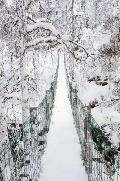 Ohromující Krajina Visícího Mostu Přes Řeku Zasněženém Lese Národním Parku — Stock fotografie