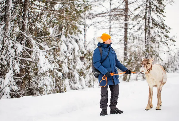 Junger Mann Geht Mit Rentieren Winterwald Lappland — Stockfoto