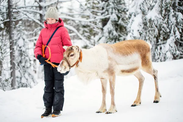 Entzückendes Mädchen Teenageralter Beim Spaziergang Mit Rentieren Winterwald Lappland — Stockfoto