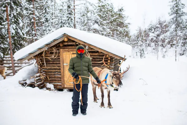 Netter Teenager Spaziert Mit Rentieren Winterwald Lappland Finnland — Stockfoto