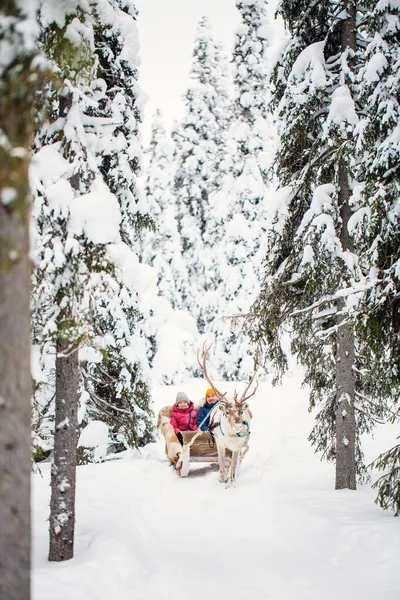 Family Father Daughter Reindeer Safari Winter Forest Lapland Finland — Stock Photo, Image