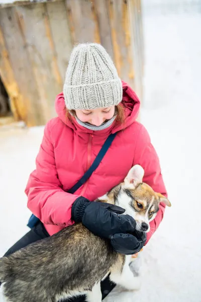 芬兰拉普兰冬季 一个可爱的十几岁前女孩抱着哈士奇小狗在户外玩耍 — 图库照片