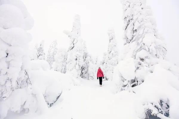 Vista Trasera Una Niña Preadolescente Caminando Bosque Invernal Entre Árboles —  Fotos de Stock