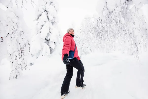 Finlandiya Nın Laponya Karla Kaplı Ağaçlarının Arasında Kış Ormanlarında Yürüyen — Stok fotoğraf