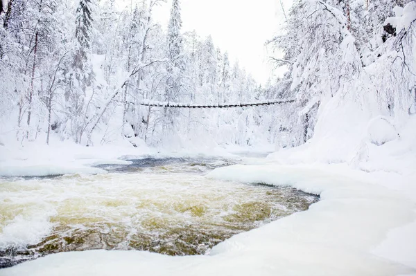 Ohromující Krajina Visícího Mostu Přes Řeku Zasněženém Lese Národním Parku — Stock fotografie