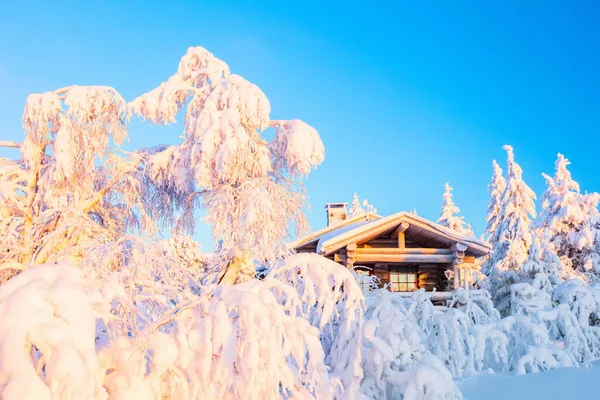 Hermoso Paisaje Invernal Con Cabaña Madera Árboles Cubiertos Nieve Laponia — Foto de Stock