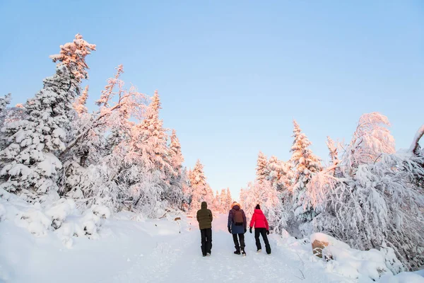 芬兰拉普兰 在冰雪覆盖的树林中 家父和孩子们在冬季森林中散步的倒影 — 图库照片