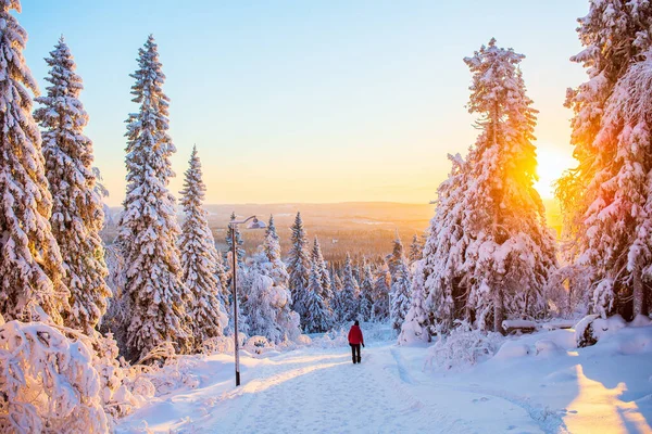 芬兰拉普兰 年轻姑娘在冰雪覆盖的树林中漫步的倒影 — 图库照片